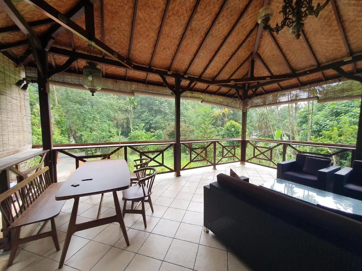 Purimai Jungle House In The Heart Of Kuala Lumpur Villa Malaysia