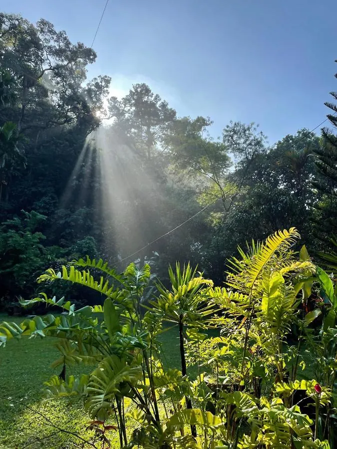 Purimai Jungle House In The Heart Of Kuala Lumpur Villa Malaysia