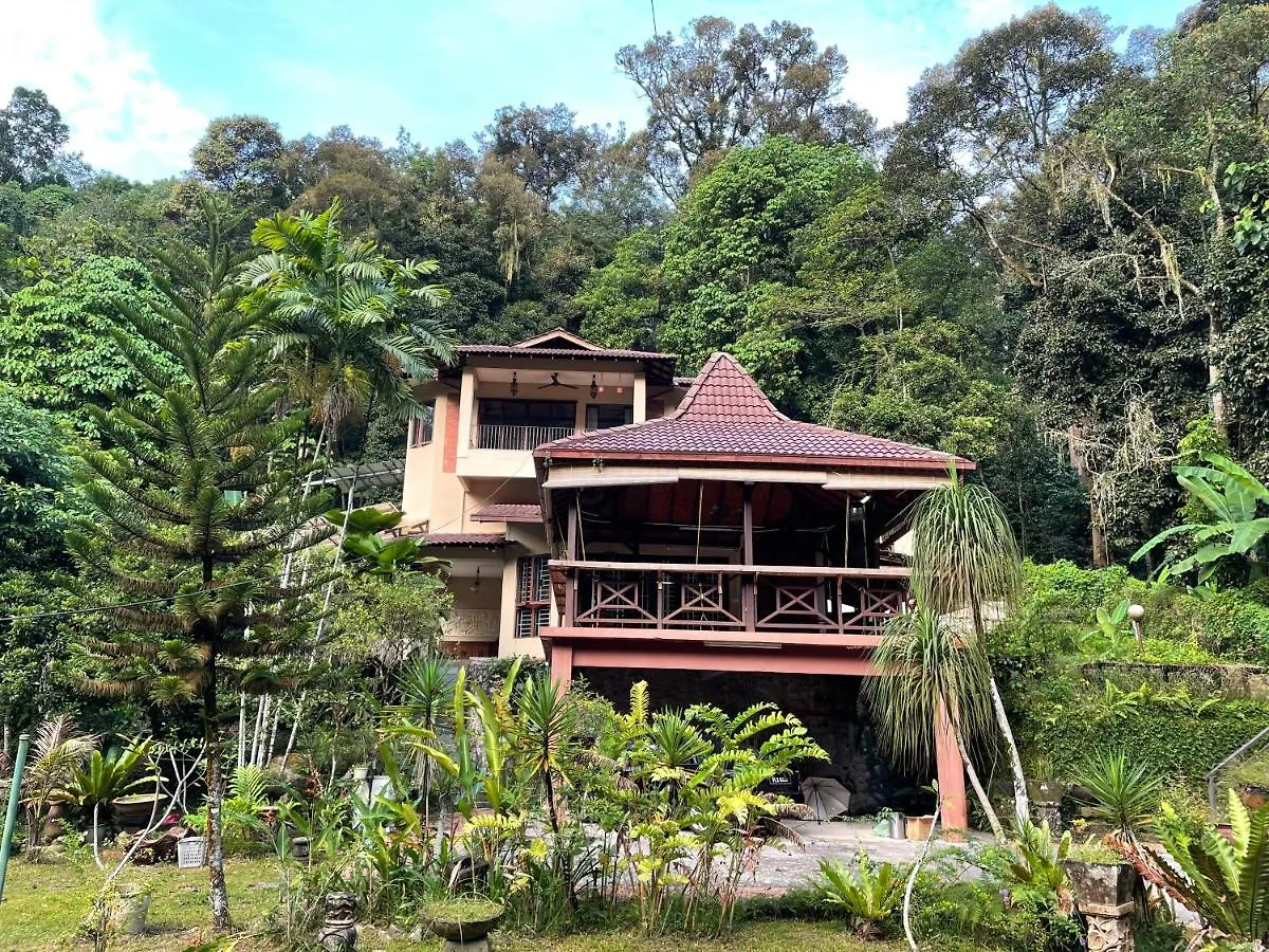 Purimai Jungle House In The Heart Of Kuala Lumpur Villa
