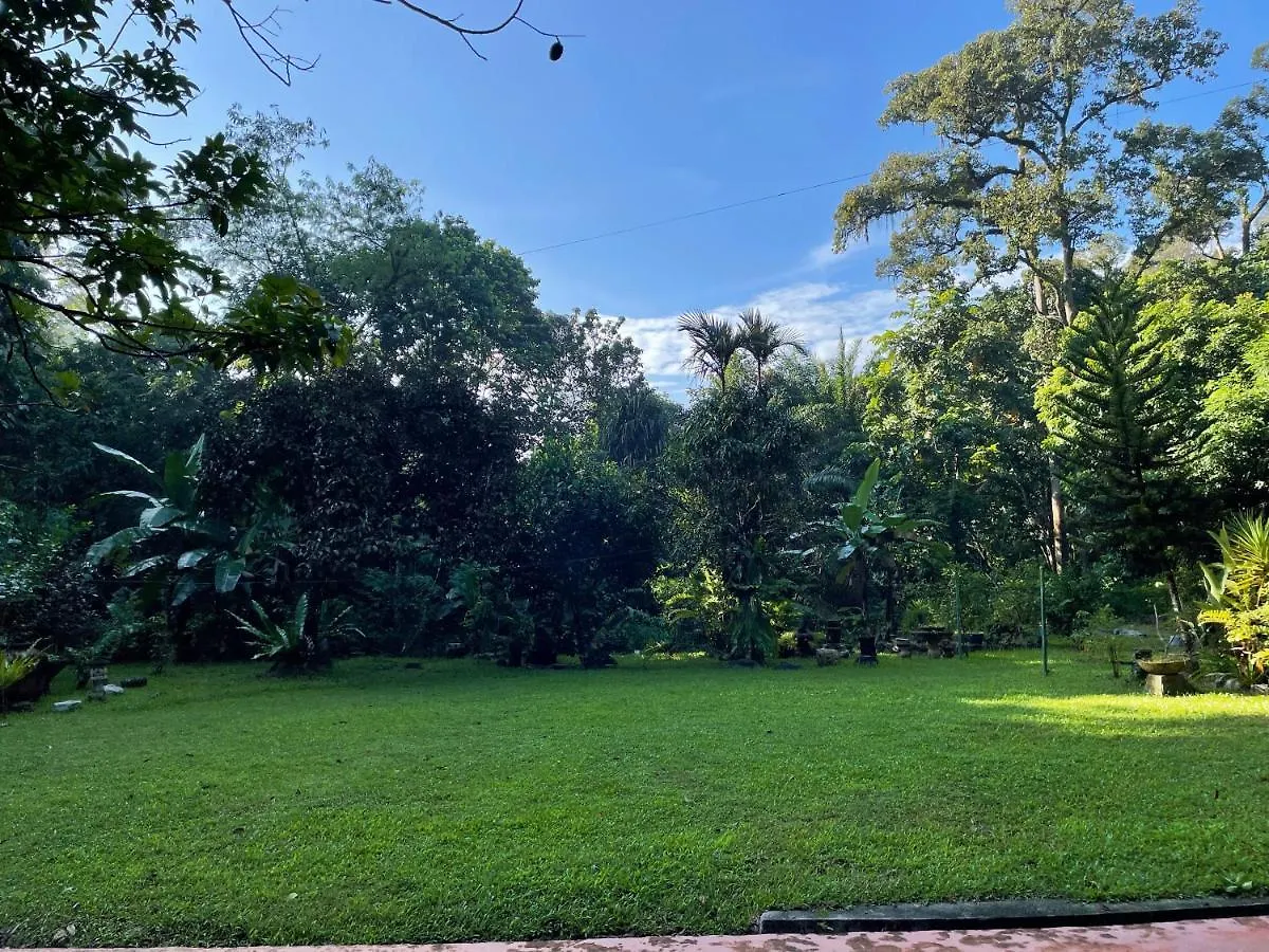 Purimai Jungle House In The Heart Of Kuala Lumpur Villa Malaysia