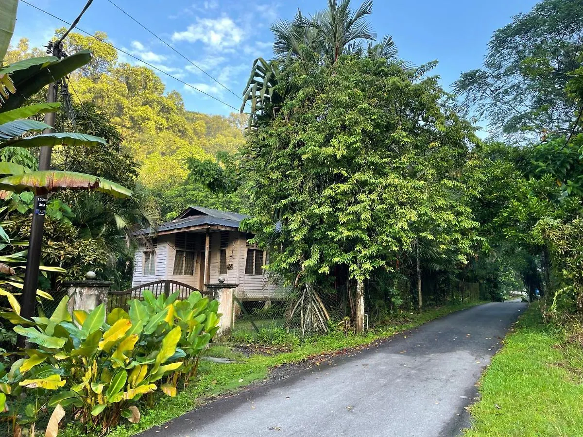 Purimai Jungle House In The Heart Of Kuala Lumpur Villa