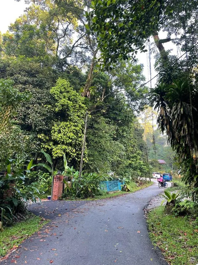 Purimai Jungle House In The Heart Of Kuala Lumpur Villa