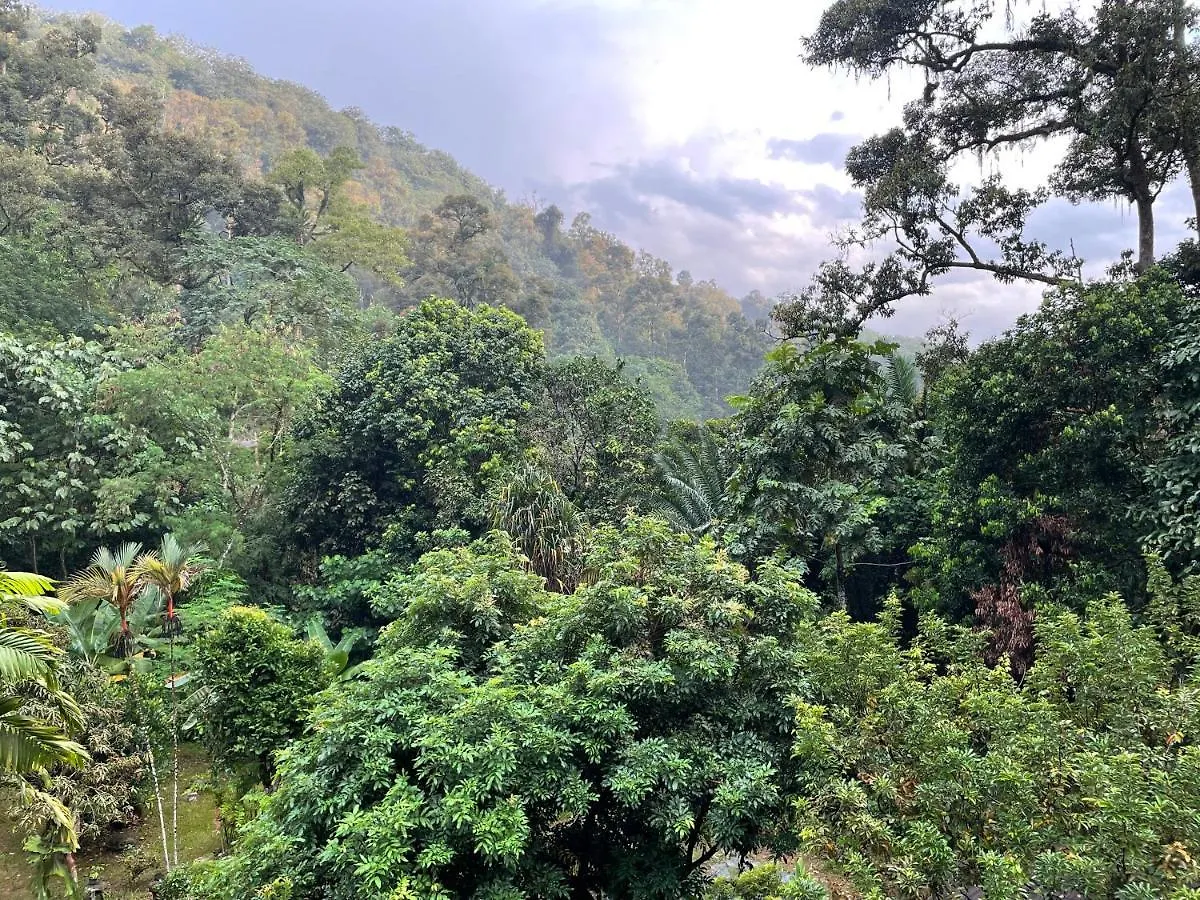 Purimai Jungle House In The Heart Of Kuala Lumpur Villa 0*,