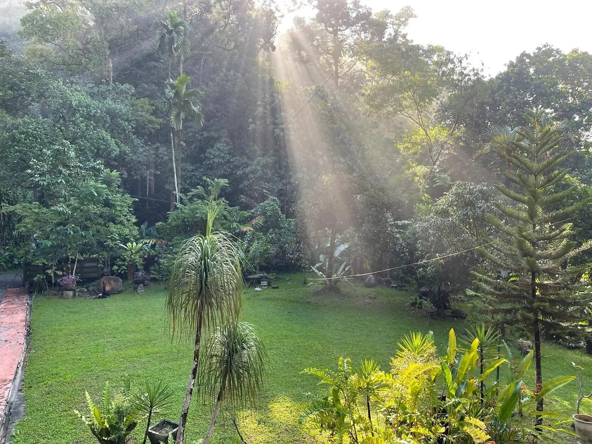 Purimai Jungle House In The Heart Of Kuala Lumpur Villa
