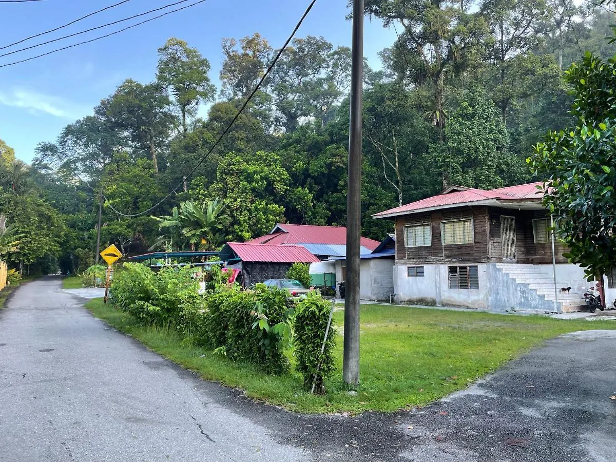 Purimai Jungle House In The Heart Of Kuala Lumpur Villa Malaysia