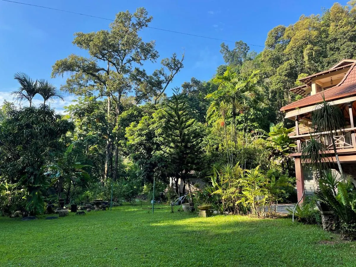 Purimai Jungle House In The Heart Of Kuala Lumpur Villa 0*,  Malaysia