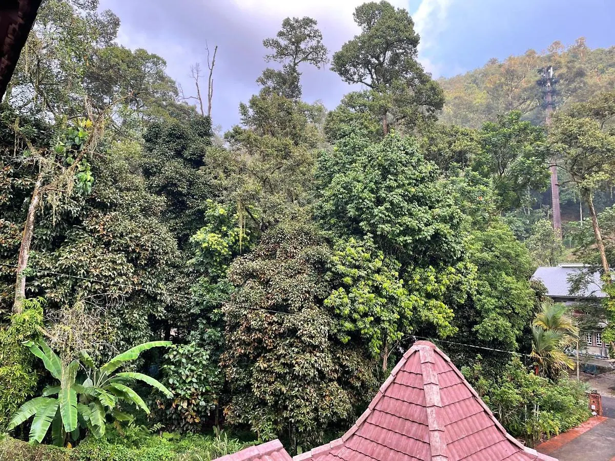Purimai Jungle House In The Heart Of Kuala Lumpur Villa