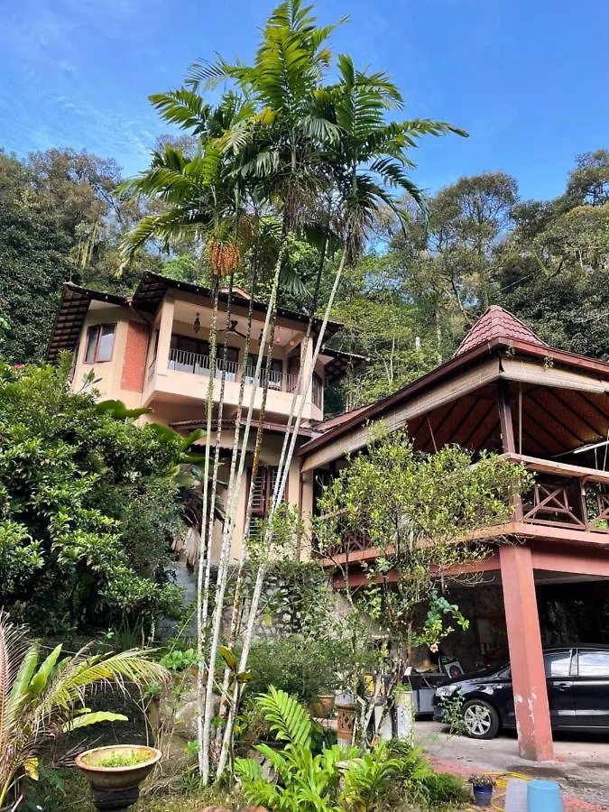 Purimai Jungle House In The Heart Of Kuala Lumpur Villa 0*,  Malaysia